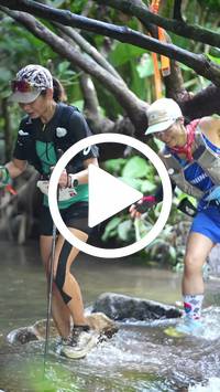 BIB:  <button type="button" onclick="openModal(27808890)" class="btn btn-primary btn-sm float-right" data-toggle="modal" data-target=".modal-high-quality">
                <i class="fa fa-download"></i> Download
                </button>